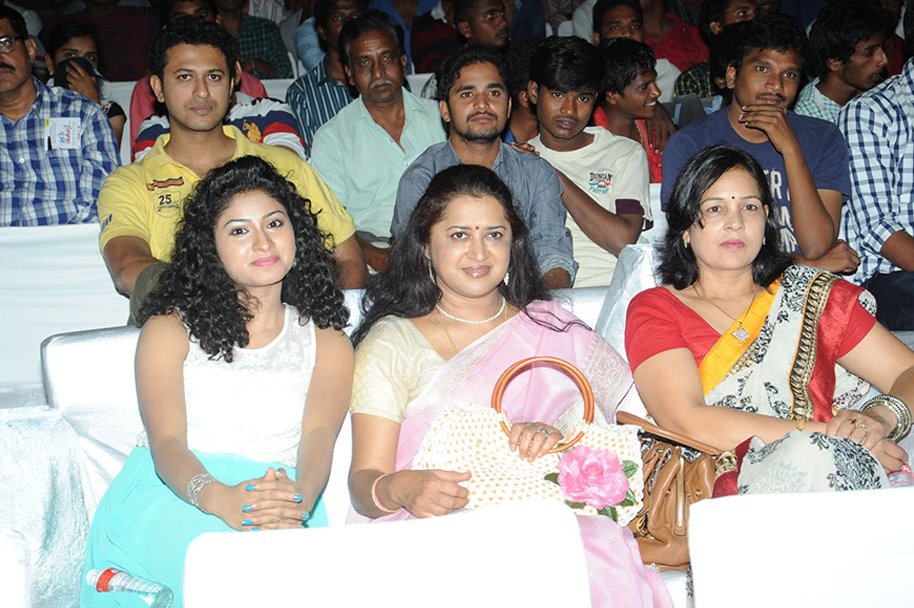 Pyaar-Mein-Padipoyane-Audio-Launch